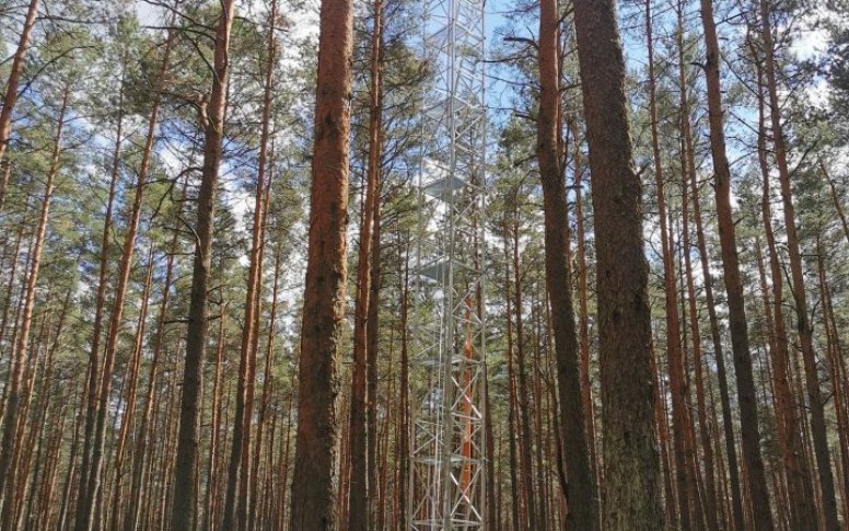 Uroczyste otwarcie wieży pomiarowej na terenie Nadleśnictwa Sarbia w powiecie chodzieskim 