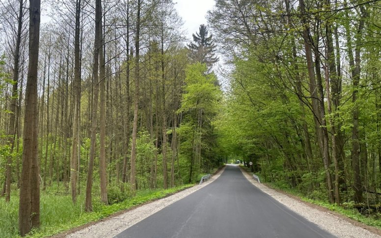 REMONT DROGI POWIATOWEJ NR 1481P W M. OLEŚNICA - koniec